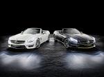 Mercedes-Benz SL63 AMG World Championship 2014 Collector Edition 2014 года